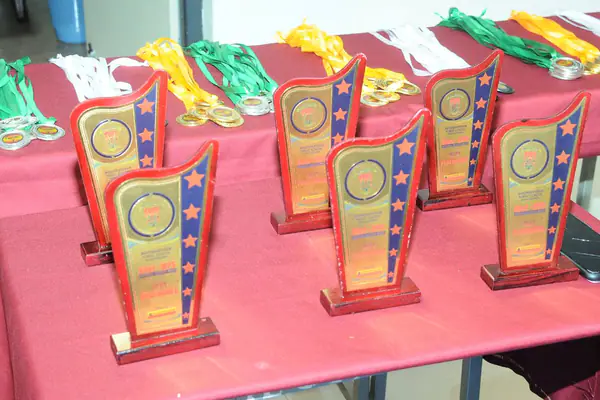 Investiture Ceremony & Annual Day Program Photos – photo 35 of 89