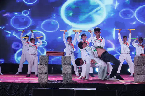 Investiture Ceremony & Annual Day Program Photos – photo 85 of 89