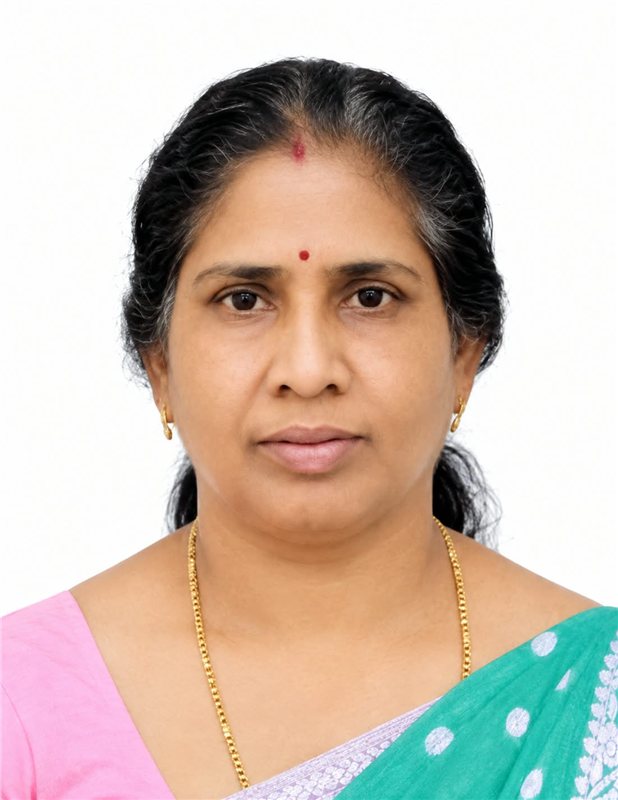 BINDU N K, Janitor